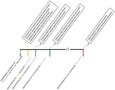 Measurements From Ears With Endolymphatic Hydrops and 2-Hydroxypropyl-Beta-Cyclodextrin Provide Evidence That Loudness Recruitment Can Have a Cochlear Origin